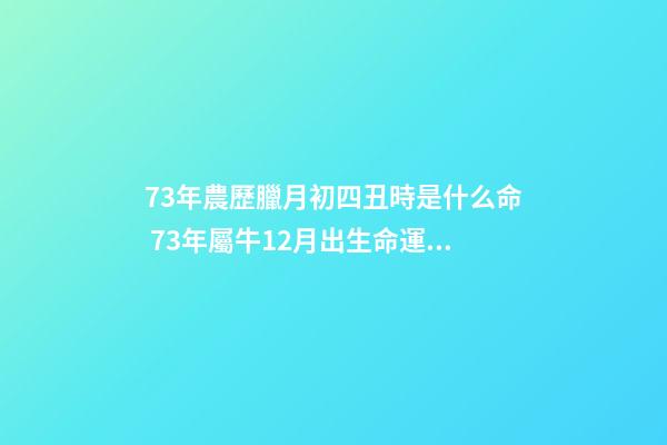 73年農歷臘月初四丑時是什么命 73年屬牛12月出生命運如何，73年屬牛的農歷正月十二命運如何-第1張-觀點-玄機派